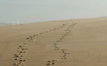 Envíame a tu pueblo