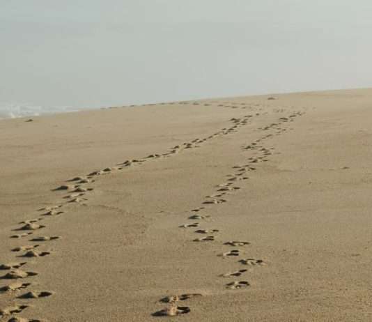 Envíame a tu pueblo