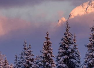 De temeroso a gozoso