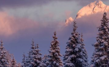 De temeroso a gozoso