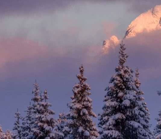 De temeroso a gozoso