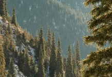 Jesús, el mejor regalo