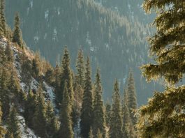 Jesús, el mejor regalo