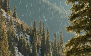 Jesús, el mejor regalo