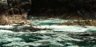 Resiliencia gozosa
