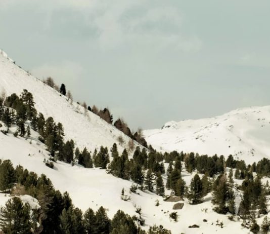 Cuando Dios no lo soluciona