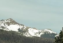 La hermosa creación de Dios