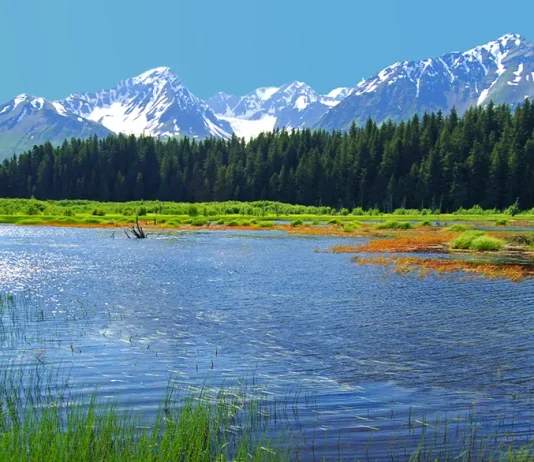 Toda una vida de segundas oportunidades