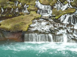 Cuando es sabio esperar