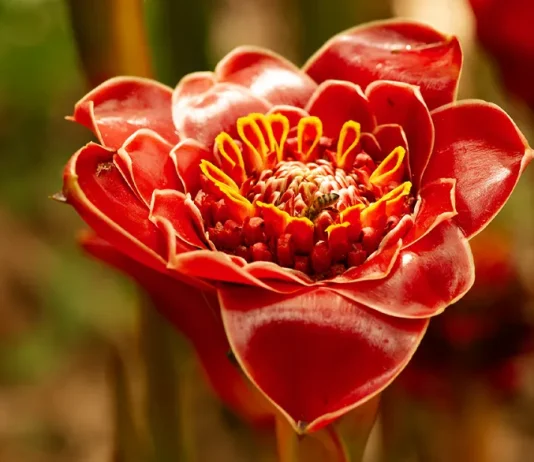 Lo que el ayuno aporta a la oración