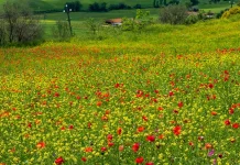 El gran propósito de las bendiciones