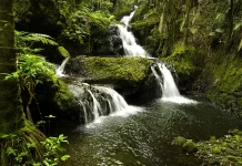 Las recompensas de trabajar bien