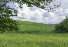 La vida después de la muerte