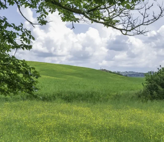 La vida después de la muerte