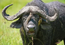 La esperanza: El ancla del alma