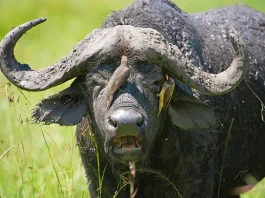 La esperanza: El ancla del alma