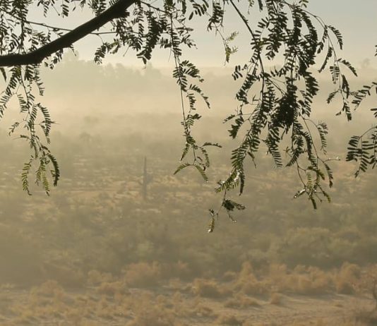 Las guerras de los huesos