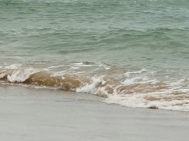 El futuro que Dios está preparando