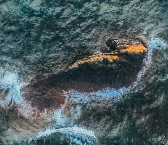 Sobrevivientes por la misericordia de Dios