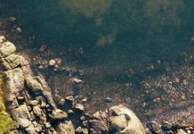 La misericordia y nuestro desastre