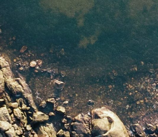 La misericordia y nuestro desastre