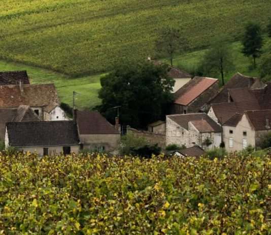 De la angustia a la alabanza