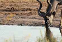 Permanecer fuerte en Cristo