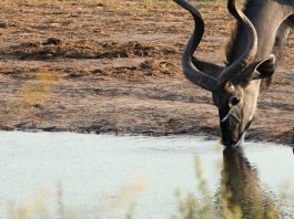 Permanecer fuerte en Cristo