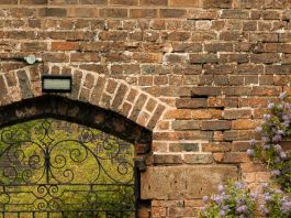 Seguir humildemente a Jesús