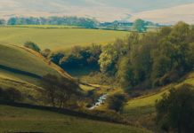 Cómo caen los arrogantes