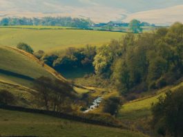 Cómo caen los arrogantes