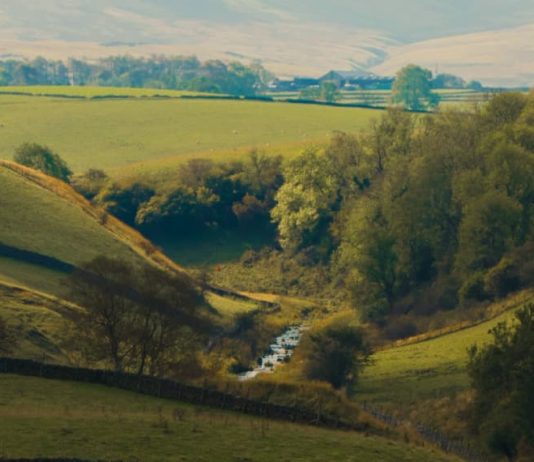 Cómo caen los arrogantes