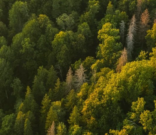 Se requiere humildad