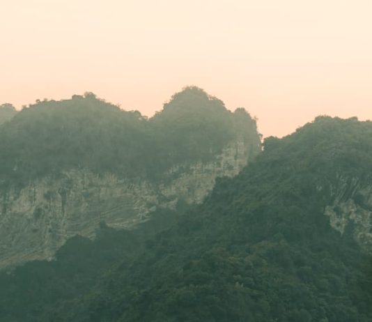 La creencia de Belle