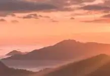 Enseñados en el amor