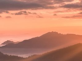 Enseñados en el amor