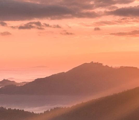 Enseñados en el amor