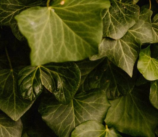 Abusar del nombre de Dios