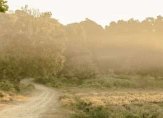 Paseo de oración