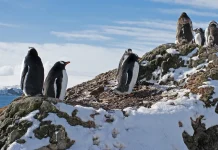 Dios nos sostiene en las tormentas