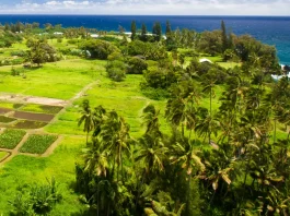 Cómo demostrar amor ágape