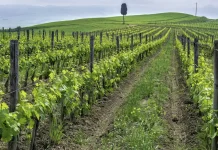 Cuando somos maltratados