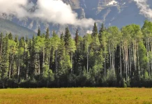 Dios en tres Personas