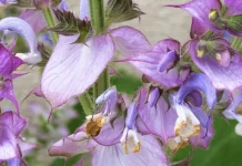 Jesucristo en nuestras circunstancias