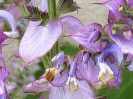 Jesucristo en nuestras circunstancias