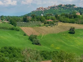 Cómo encontrar dirección clara