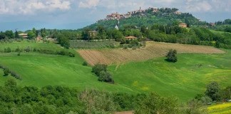 Cómo encontrar dirección clara