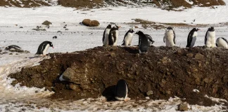 Lo que significa la paz de Dios