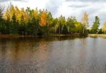 Para andar con sabiduría