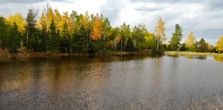 Para andar con sabiduría